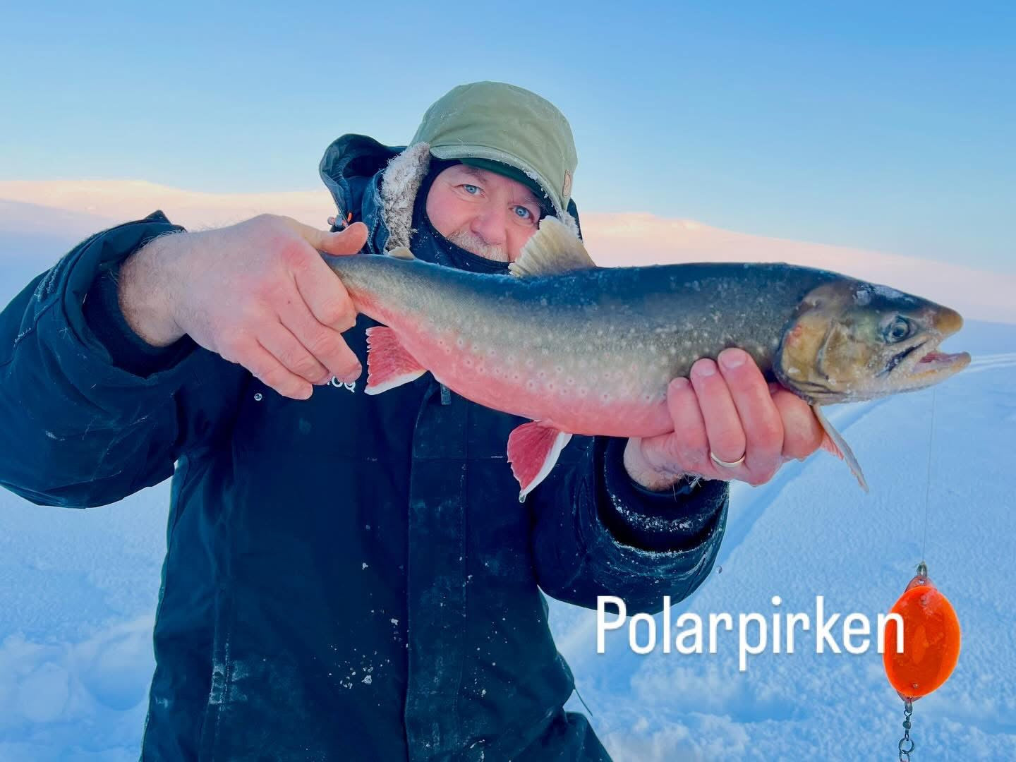 Polarpirken Original